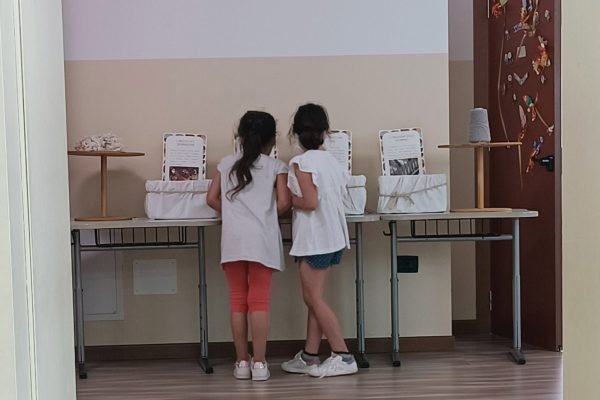 gallery-raccolta-vezzano-6